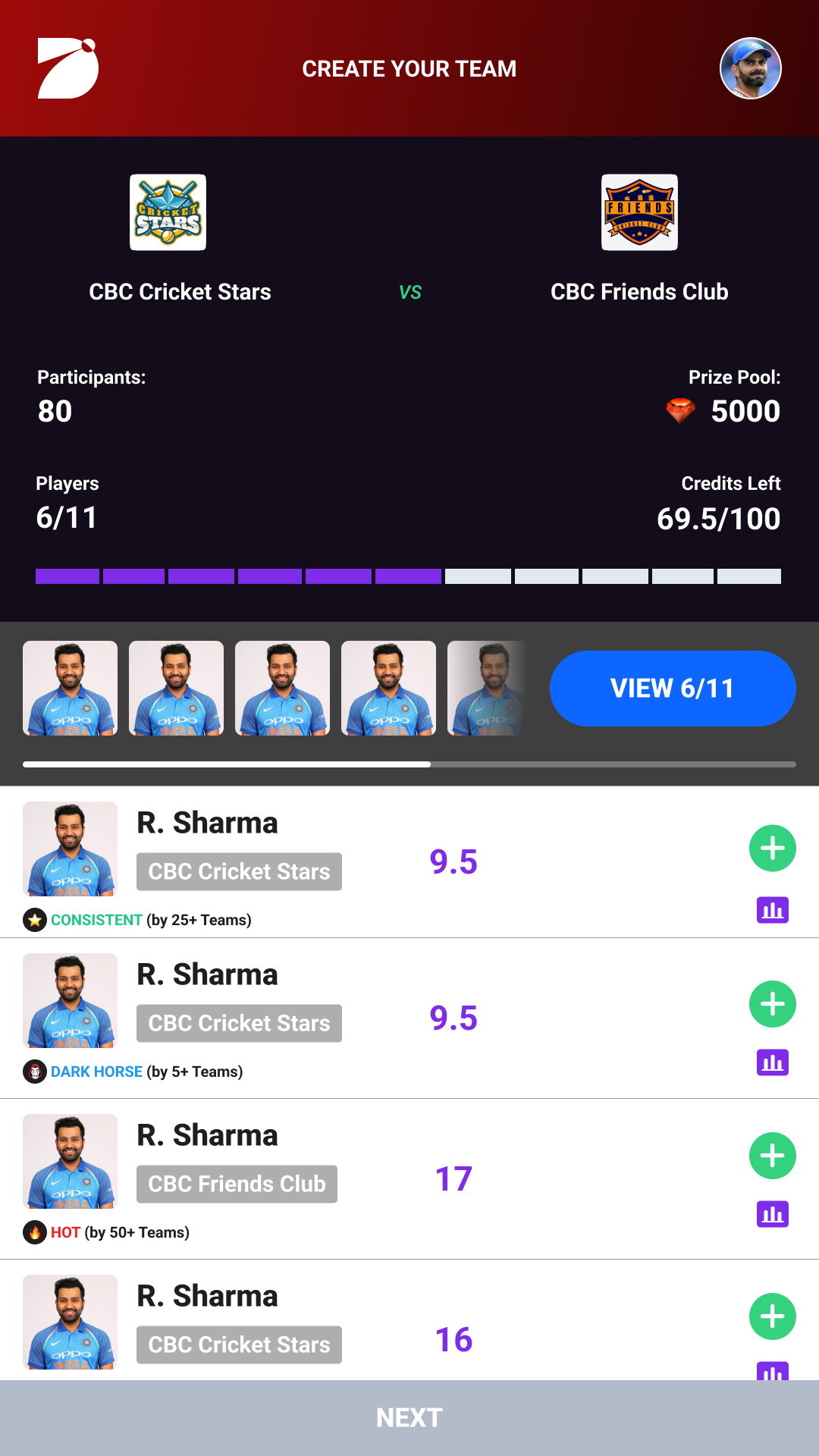 DreamCric Team Selection