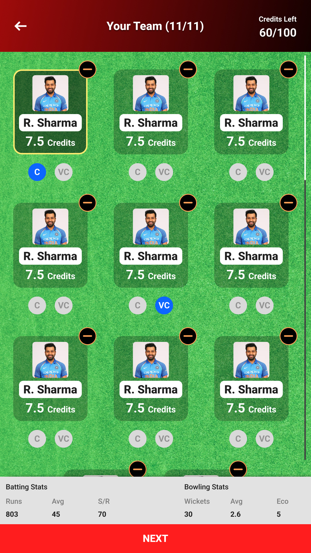 DreamCric Your Team View